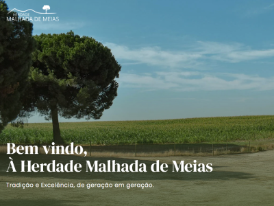 malhadademeias.pt